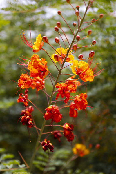 060726_7213_EDIT