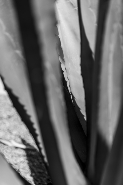 060726_7227_EDIT