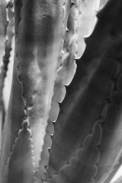 060726_7234_EDIT