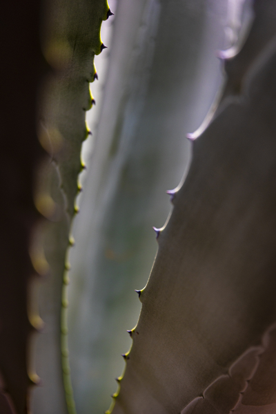 060726_7236_EDIT
