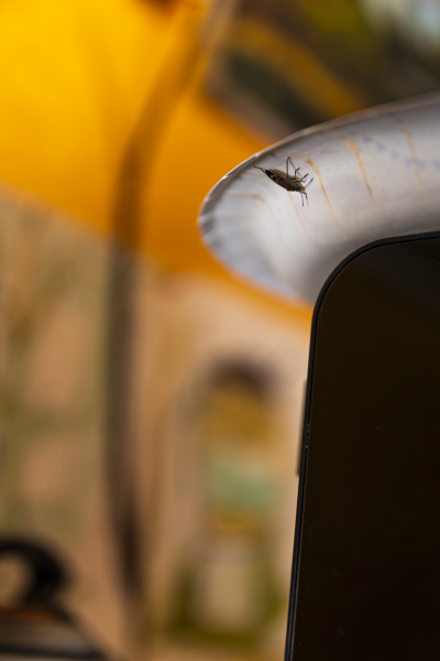 46A3303_Edit