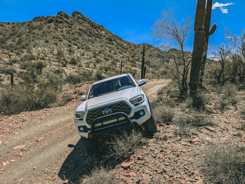 PXL_20250404_192748911-copy-2