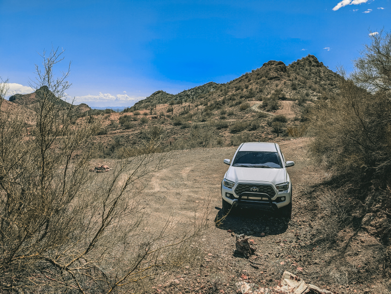 PXL_20250404_194101326-copy-2