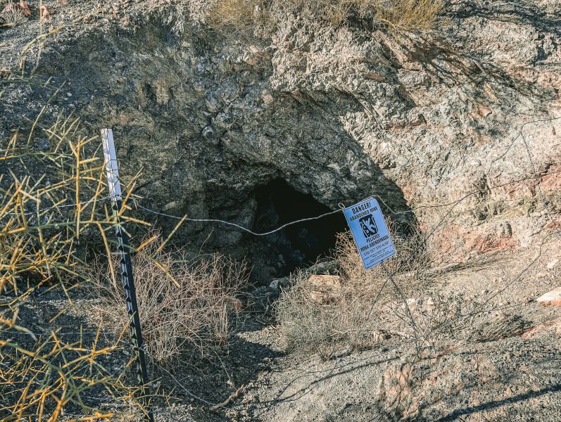 PXL_20250404_235627234-copy-2