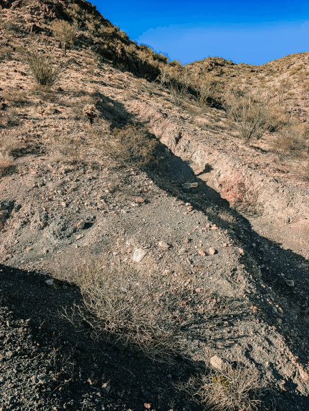 PXL_20250404_235845814-copy-2