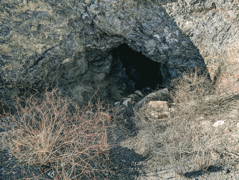 PXL_20250405_000043556-copy-2