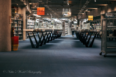 20251225-122625_4655web