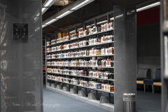 20251225-122625_4656web