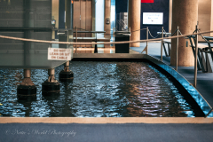 20251225-122625_4658web