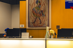 20251225-122625_4672web