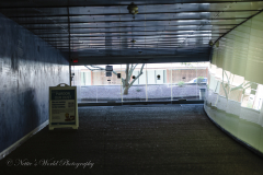 20251225-122625_4674