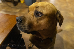 20251223-122325_4934web