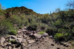 PXL_20251107_181106755-copy