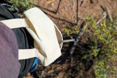 PXL_20251107_190549891-copy