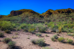 PXL_20251107_190558282-copy