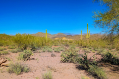 PXL_20251107_190604888-copy