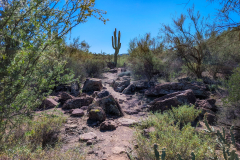 PXL_20251107_191515884-copy