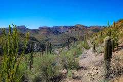 PXL_20251107_201406494-copy