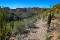 PXL_20251107_201412217-copy