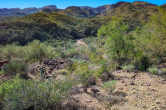 PXL_20251107_203023497-copy