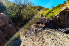 PXL_20251107_212827382-copy