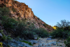 PXL_20251107_220456626-copy