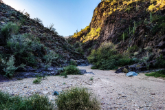 PXL_20251107_224310506-copy