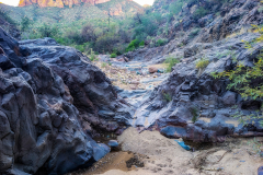 PXL_20251107_224640193-copy