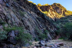 PXL_20251107_224819029-copy