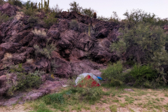 PXL_20251108_003250390-copy