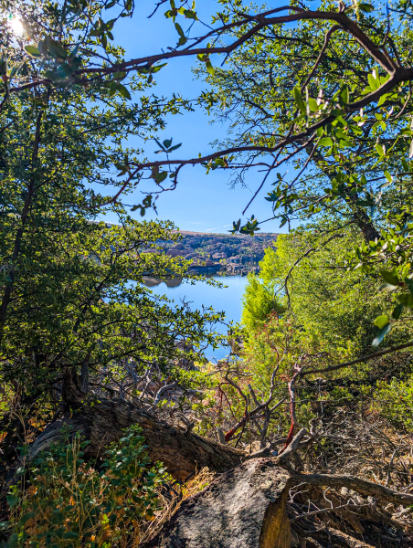 PXL_20250830_151430128-copy