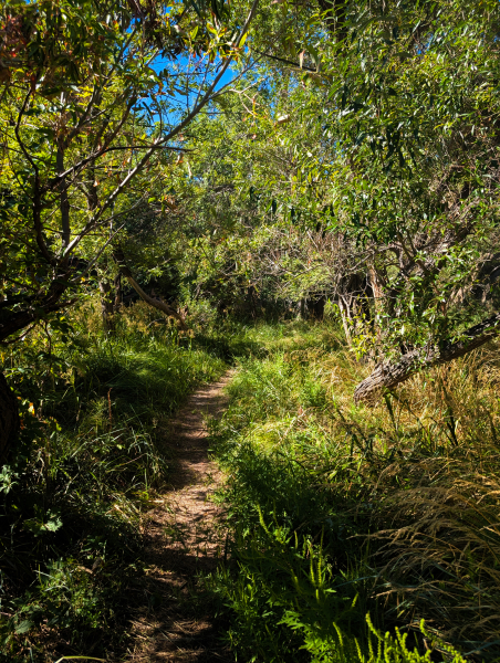 PXL_20250830_160241882-copy