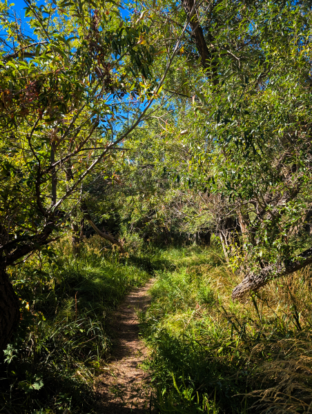 PXL_20250830_160243703-copy