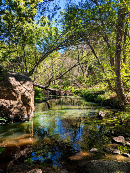 PXL_20250830_162249836-copy