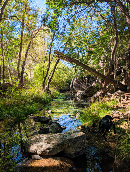 PXL_20250830_162356651-copy