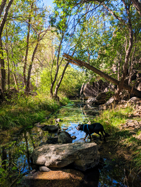 PXL_20250830_162358530-copy