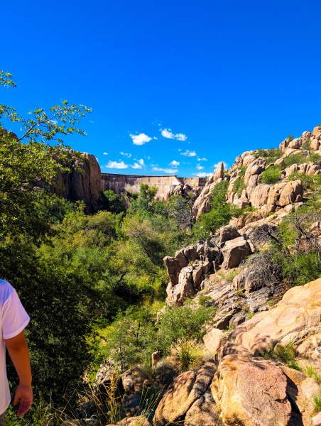 PXL_20250830_163544309-copy