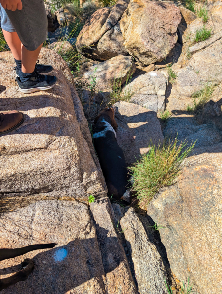 PXL_20250830_163640965-copy