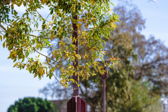 20251225-122625_4712web