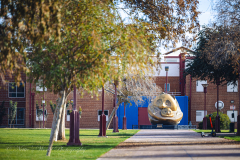 20251225-122625_4715web