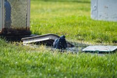 20251225-122625_4724