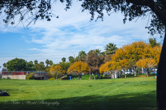 20251226-122625_4014web