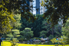 20251226-122625_4018web