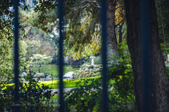 20251226-122625_4019web