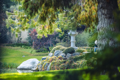 20251226-122625_4020web