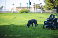 20251226-122625_4022web