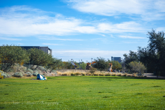 20251226-122625_4024web