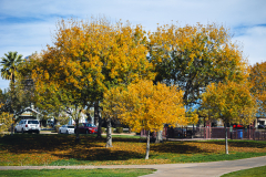 20251226-122625_4042web