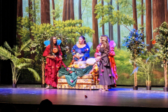 PXL_20250510_013037841.RAW-01.COVER-copy