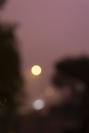 46A4296_EDIT